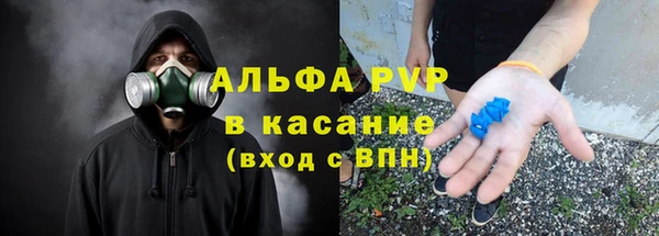 ПСИЛОЦИБИНОВЫЕ ГРИБЫ Арсеньев
