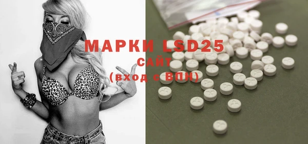 ПСИЛОЦИБИНОВЫЕ ГРИБЫ Аркадак