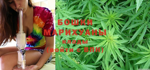 ПСИЛОЦИБИНОВЫЕ ГРИБЫ Аркадак