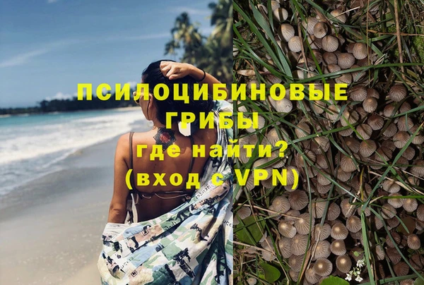 гидропоника Приозерск