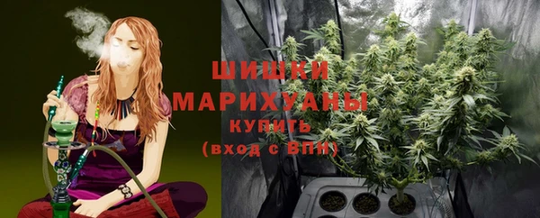 ПСИЛОЦИБИНОВЫЕ ГРИБЫ Аркадак