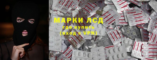 ПСИЛОЦИБИНОВЫЕ ГРИБЫ Арсеньев