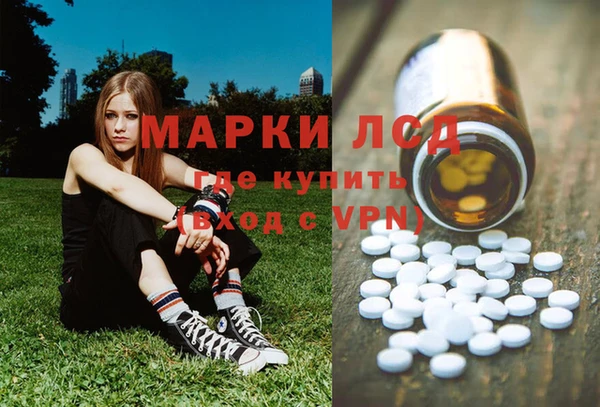 ПСИЛОЦИБИНОВЫЕ ГРИБЫ Аркадак